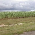 AUS QLD Ingham 2003APR17 002  Turn left at the cane field is a local saying. : 2003, April, Australia, Date, Ingham, Month, Places, QLD, Year